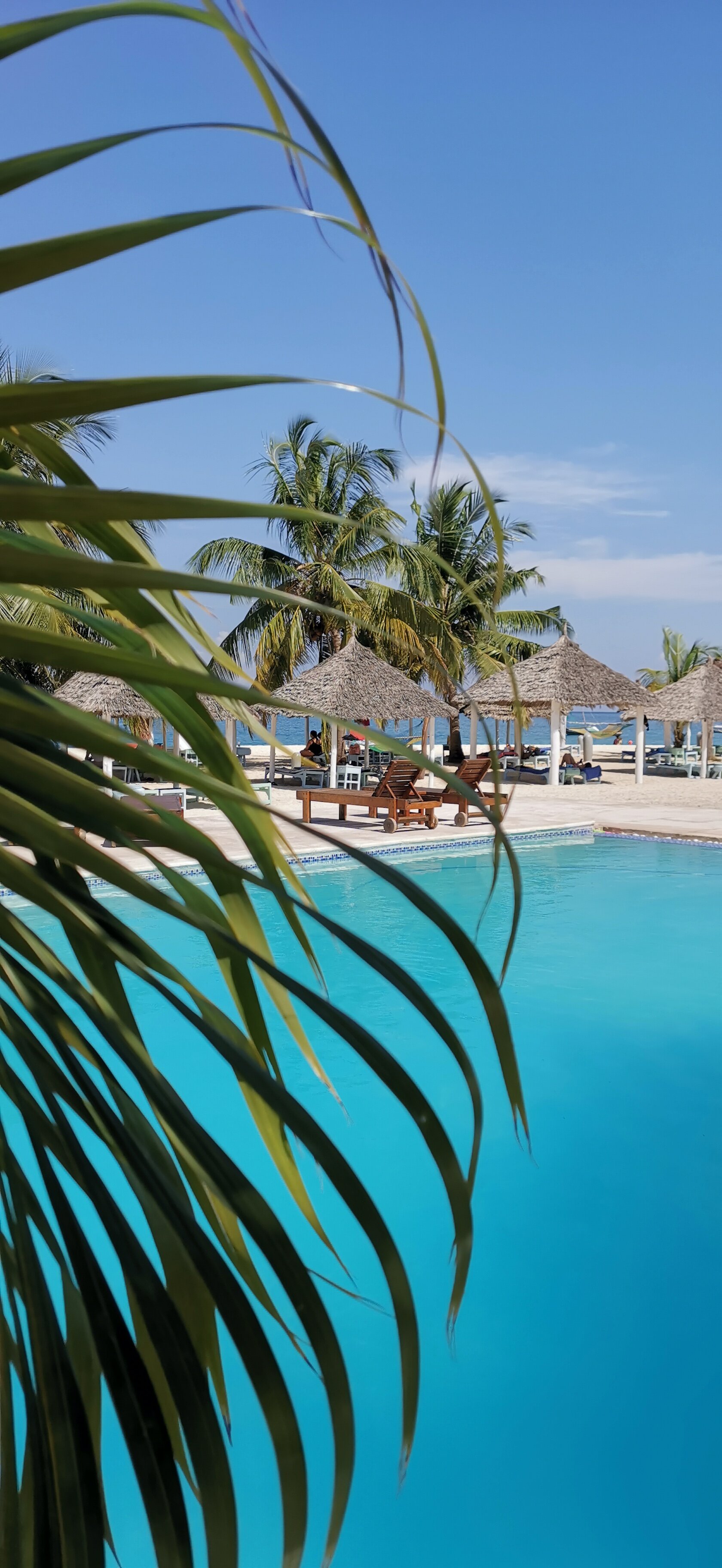 Фото Sunset Kendwa