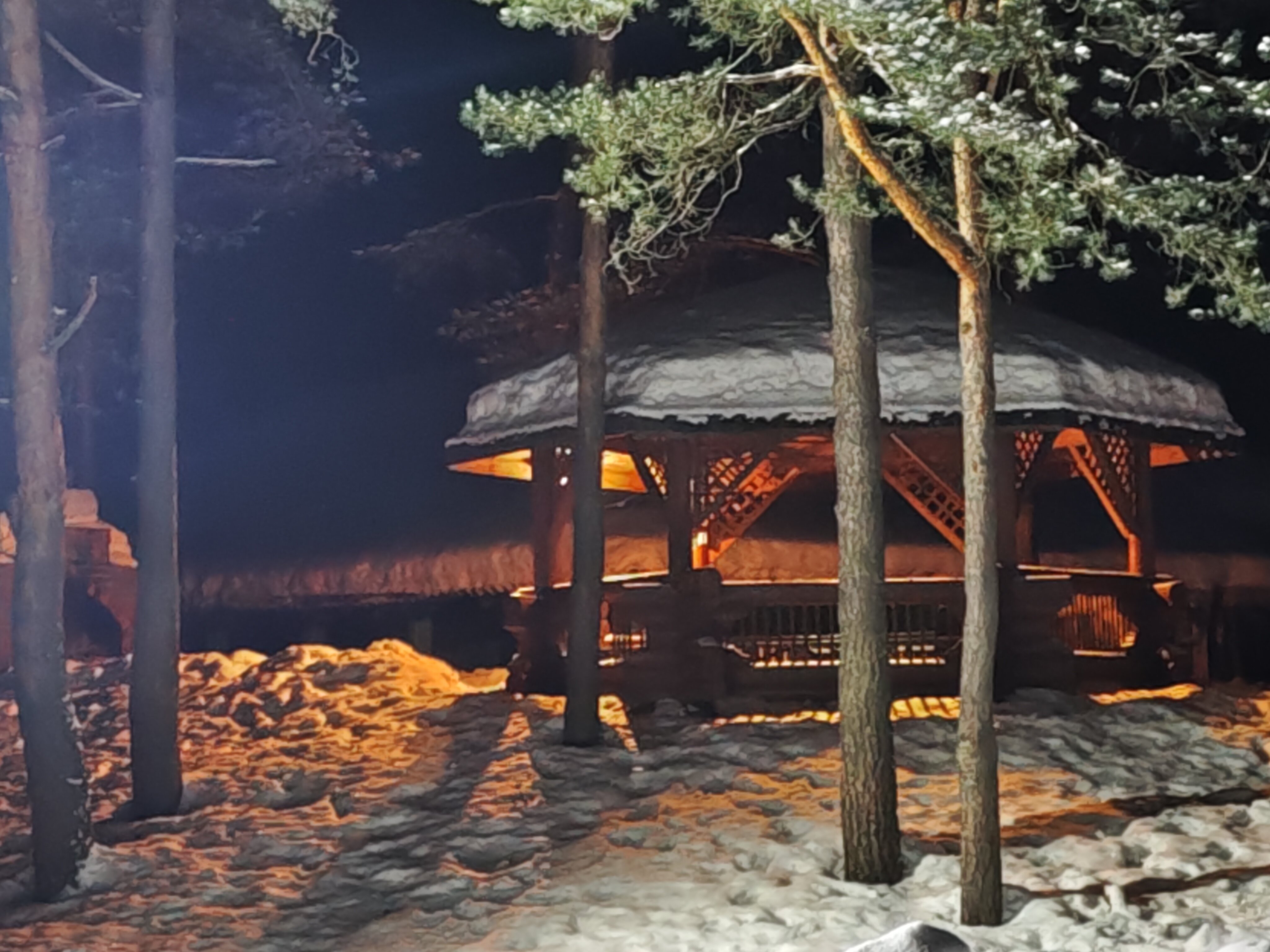 Фото Динамо