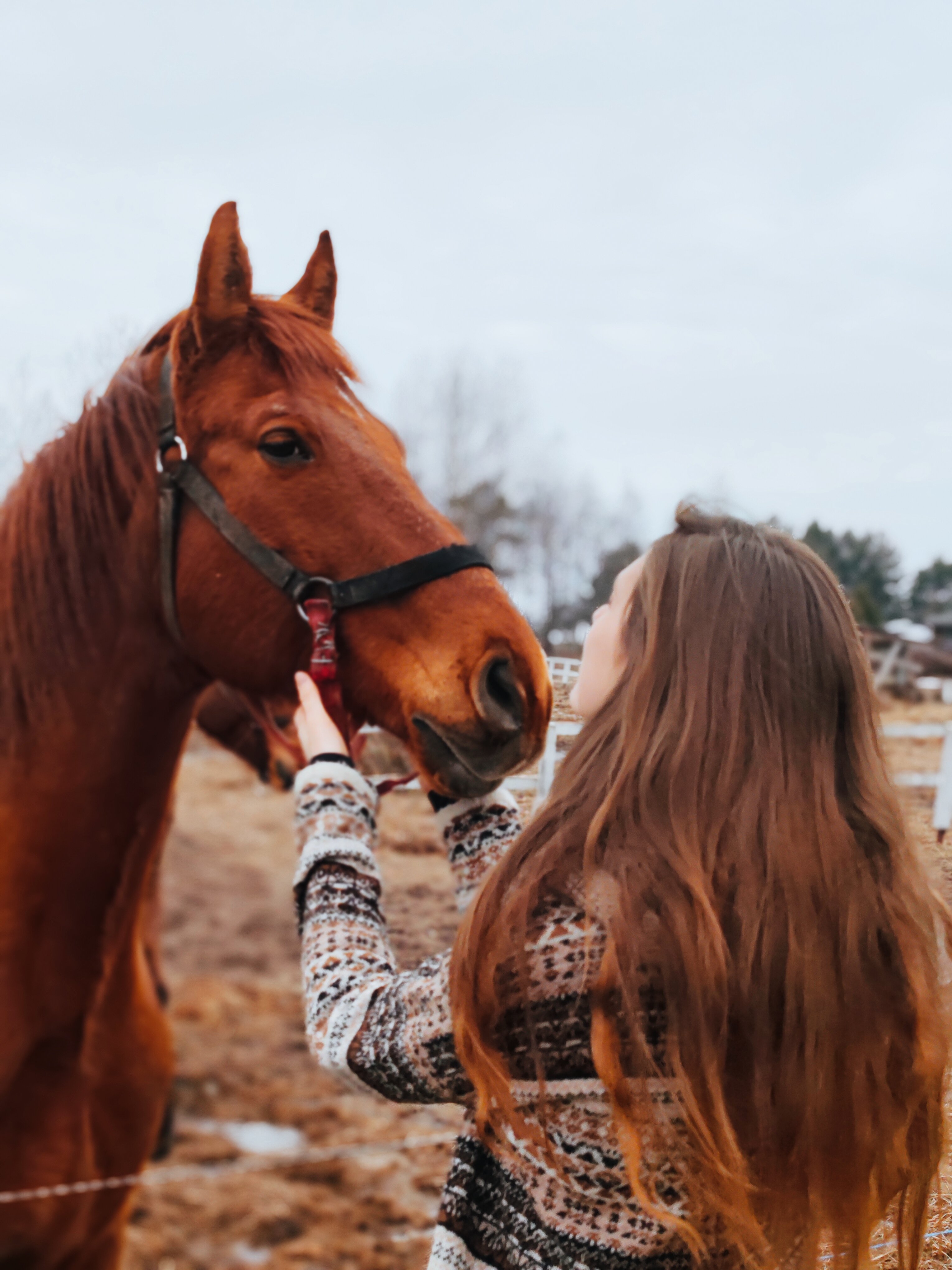 Фото Чудо-дом с сауной