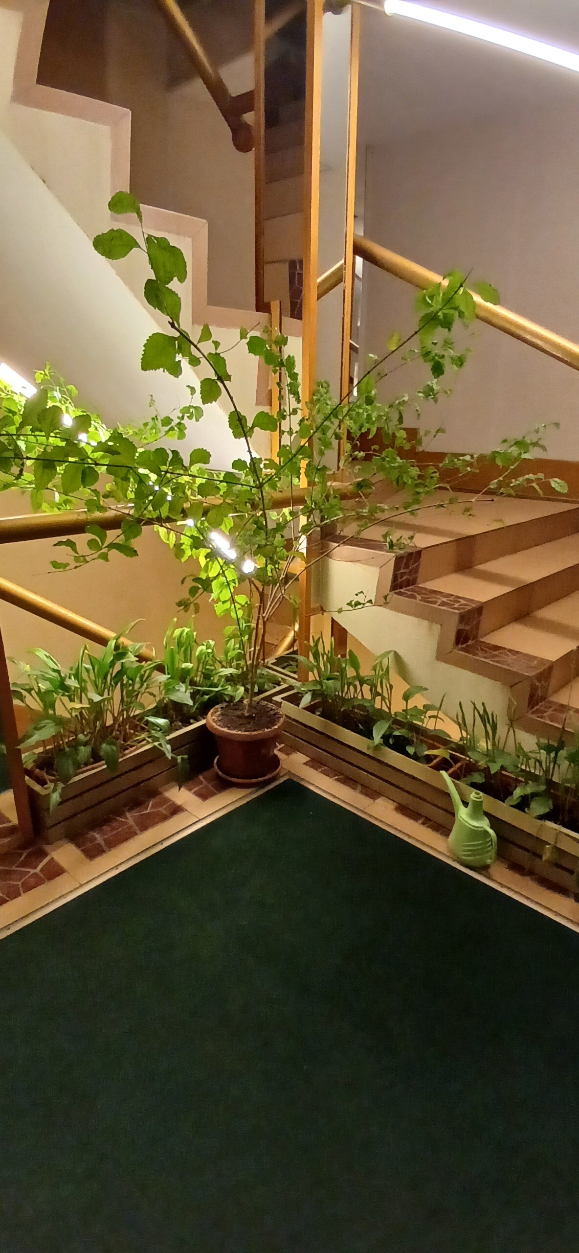 Фото Сварог Фильм Отель