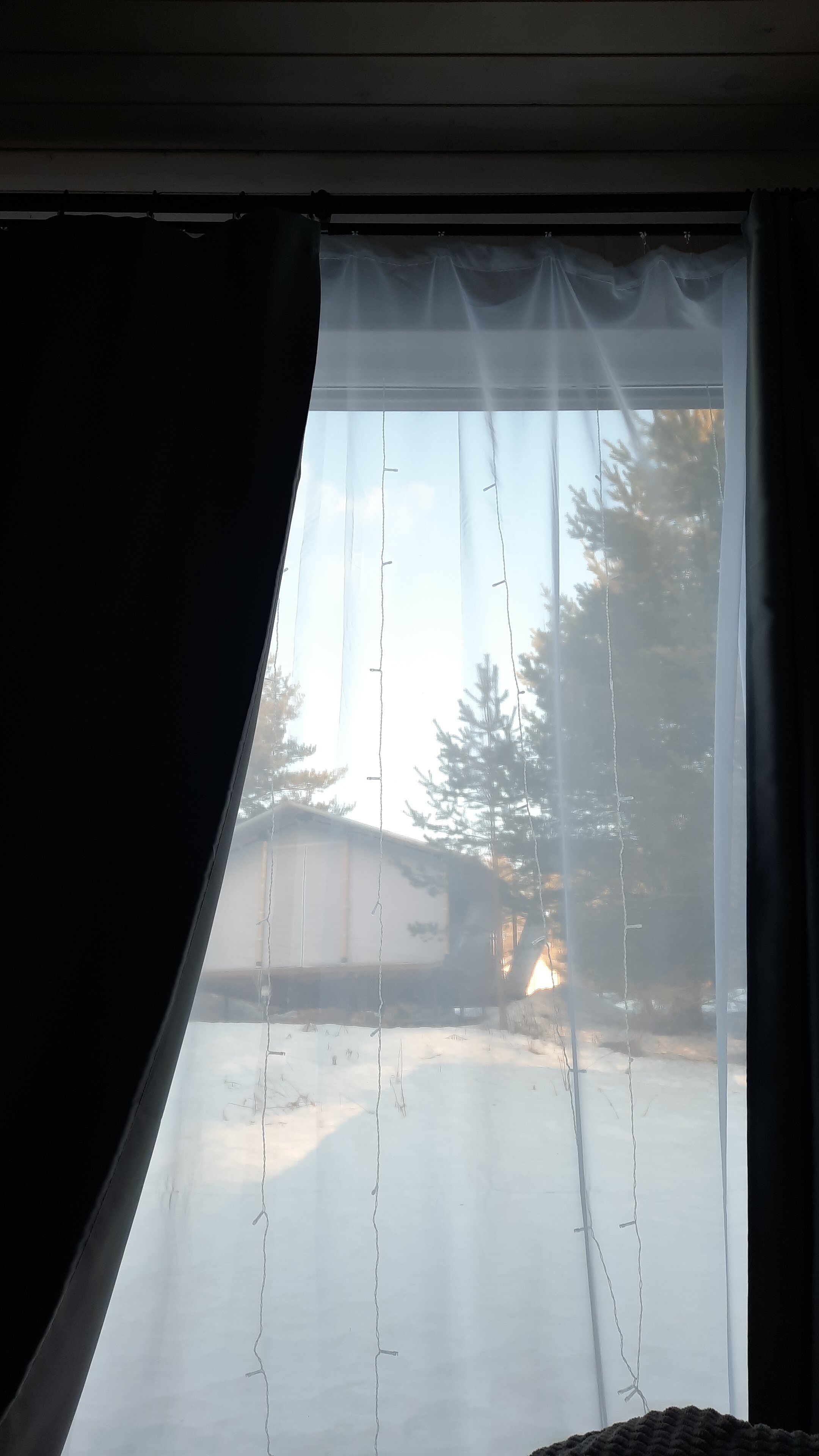 Фото Йети на комете