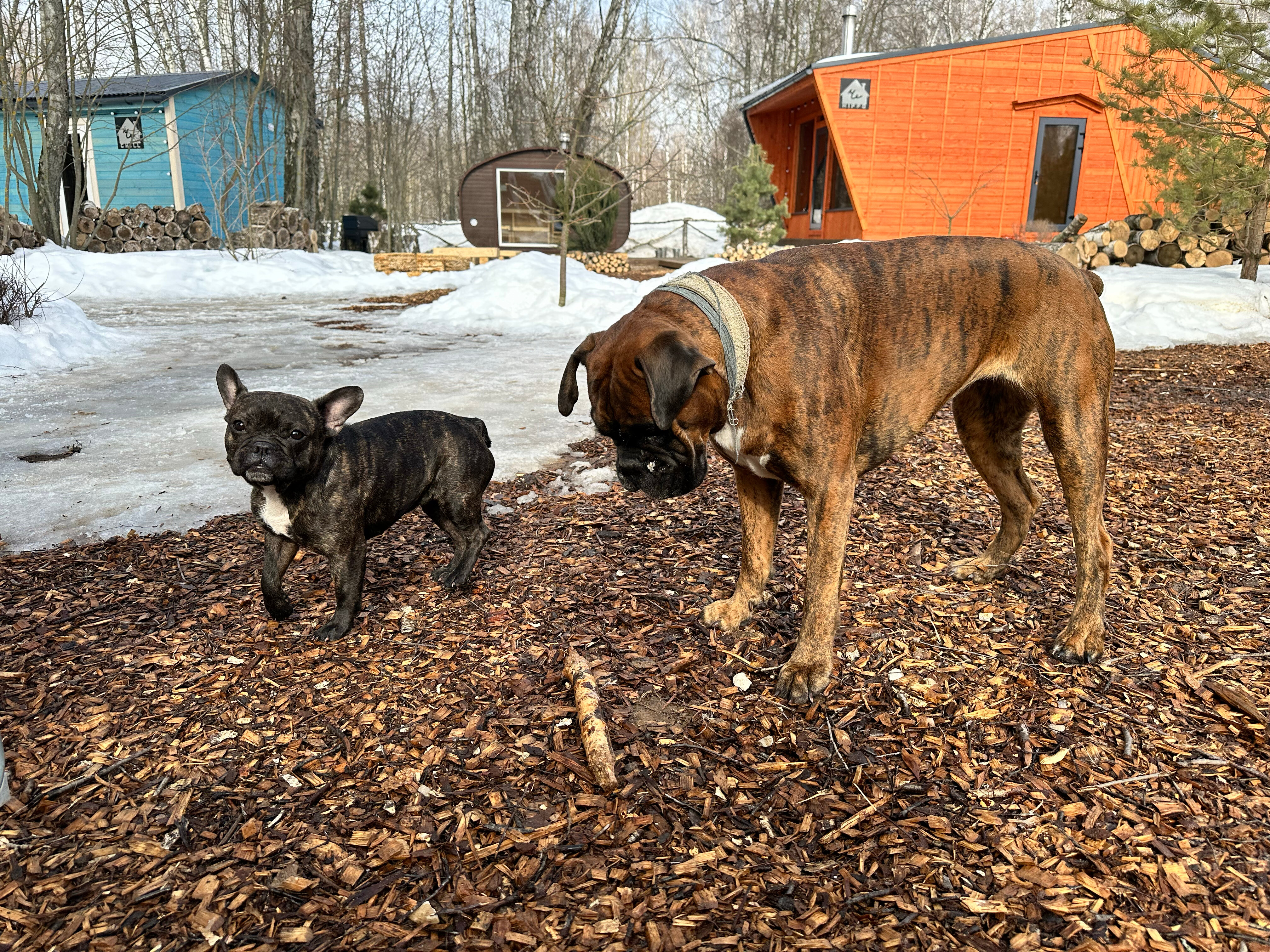 Фото Че Домики