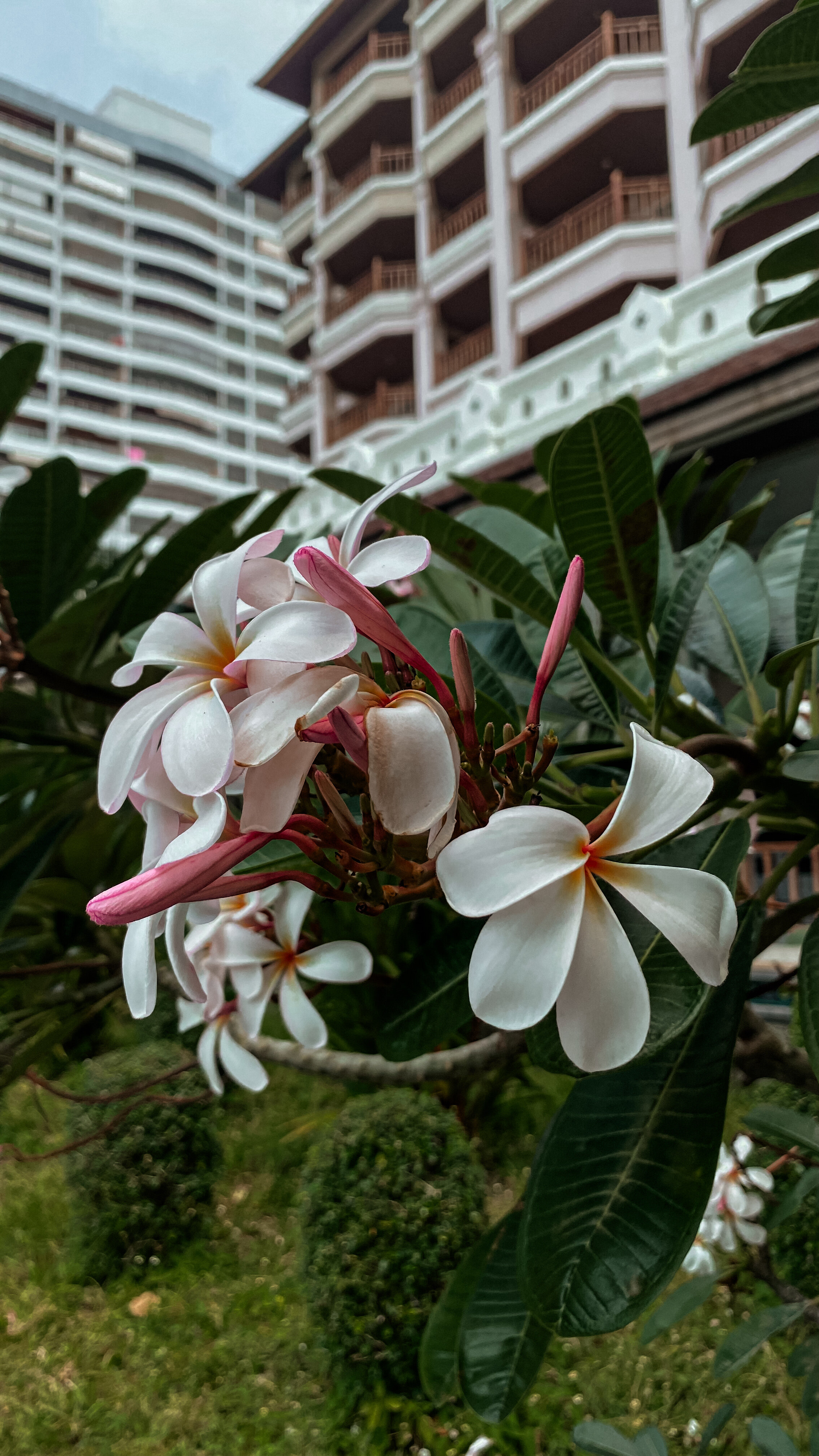 Фото The Heritage Pattaya Beach Resort