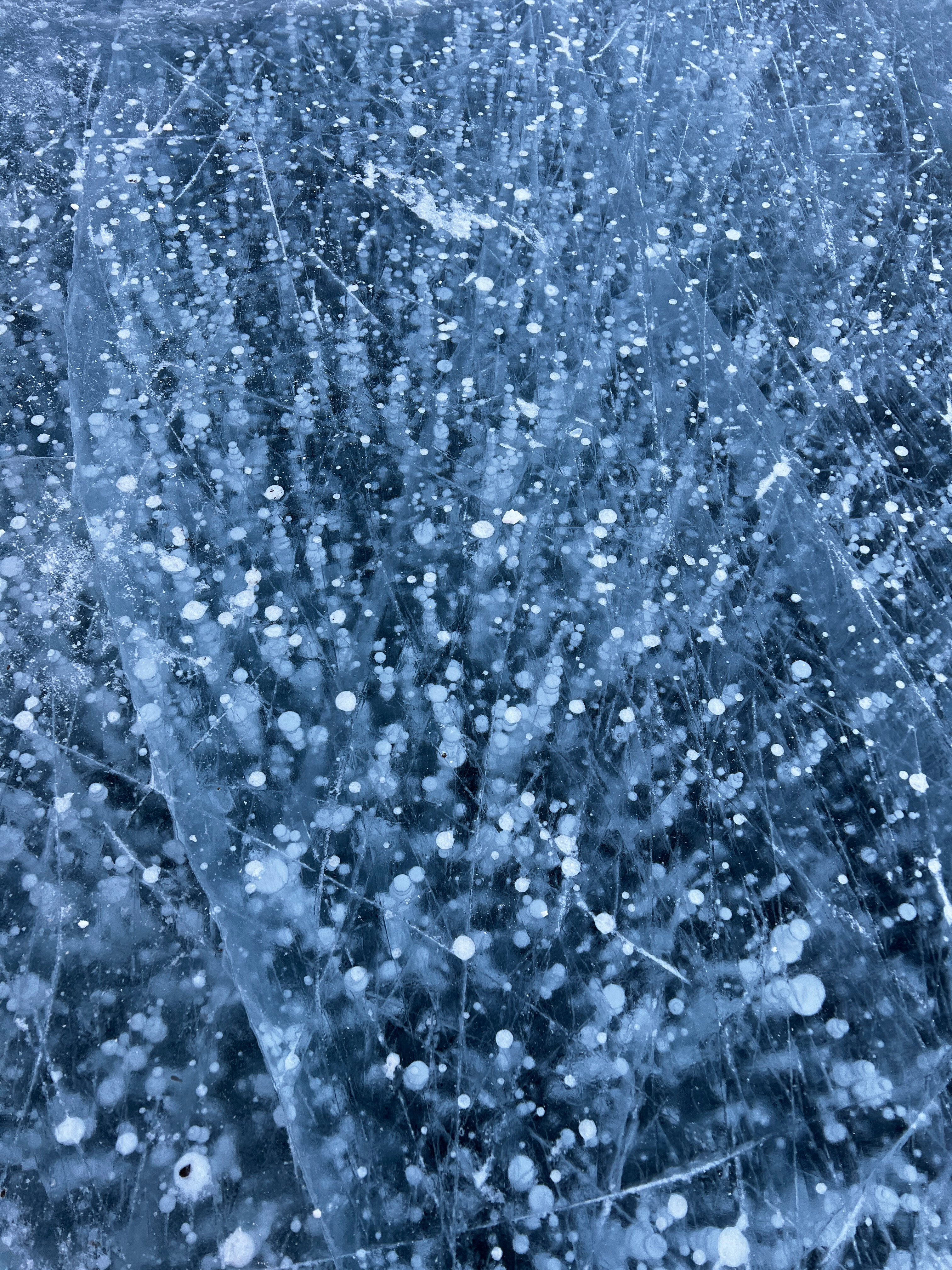 Фото Остров 7 тополей