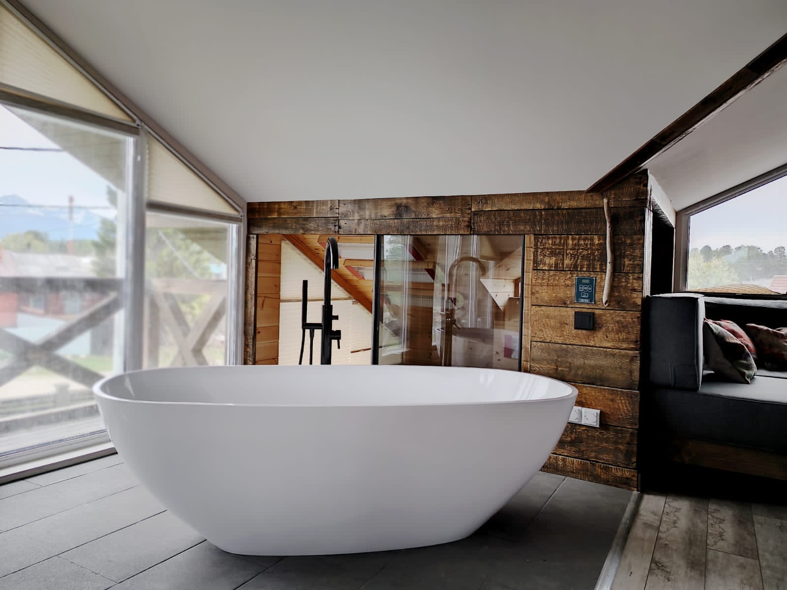 Фото Снежные Гуси