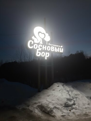 Сосновый бор — фото 3