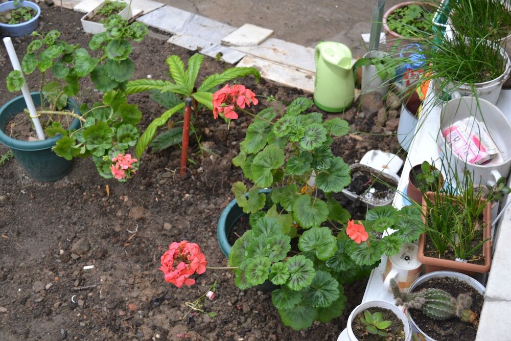 Фото Ваш дом в Тбилиси