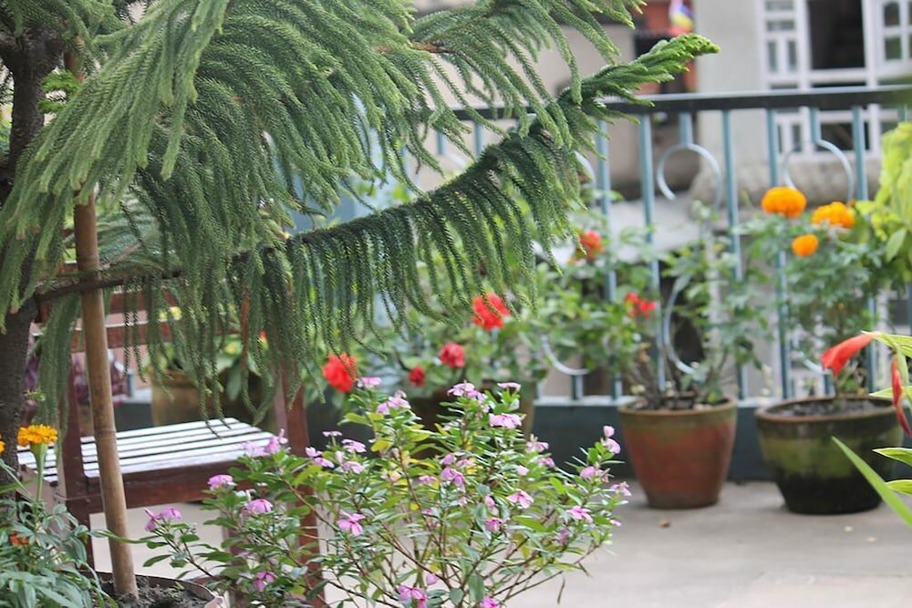 Фото Mount Annapurna Guest House