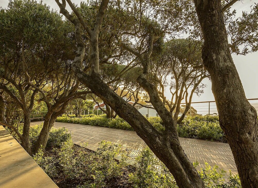 Фото Moondance Villa & Suites