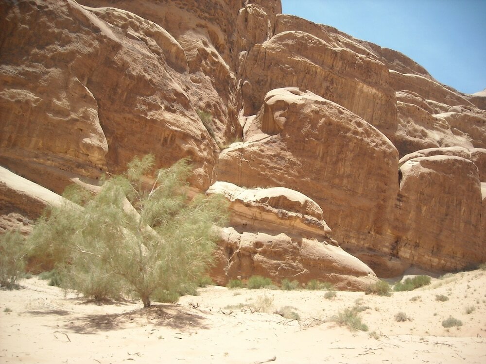 Фото Bedouin expedition Camp