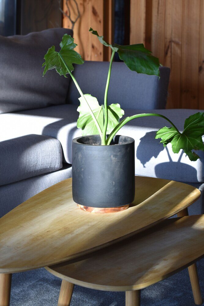 Фото Tutumaz by the River