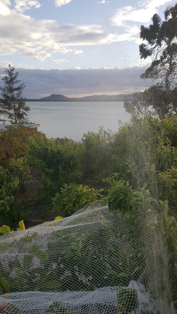 Фото Applebay Guest House