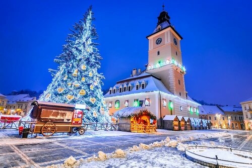 Гостиница Bed Stage Hostel в Брашове