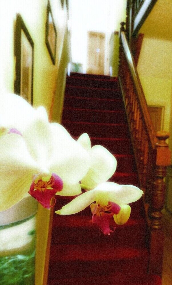 Фото Laurel Cottage B&b Windermere