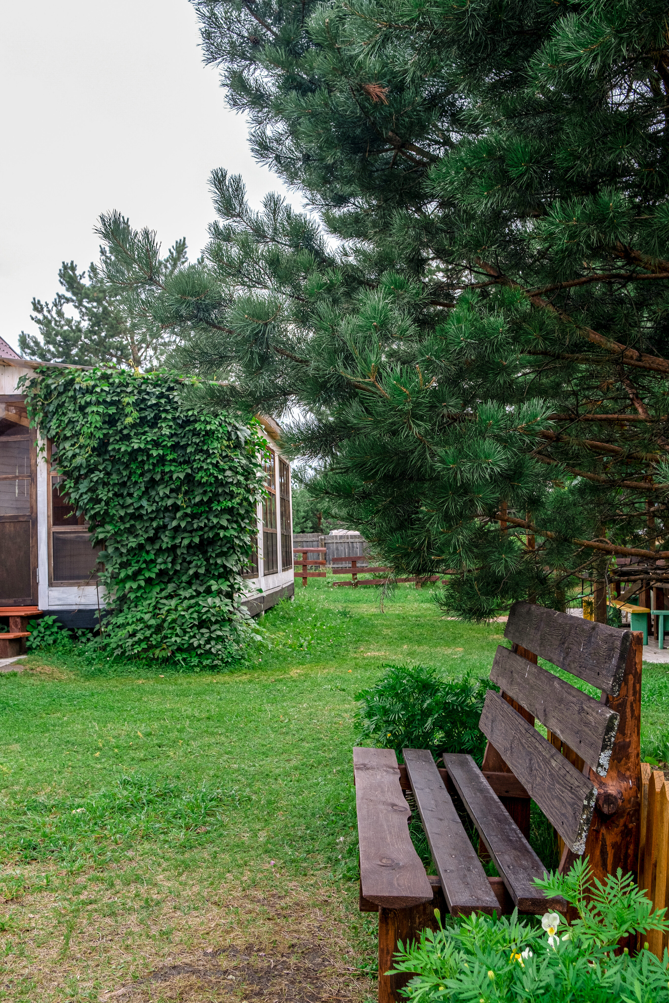 Фото Горы&Сосны