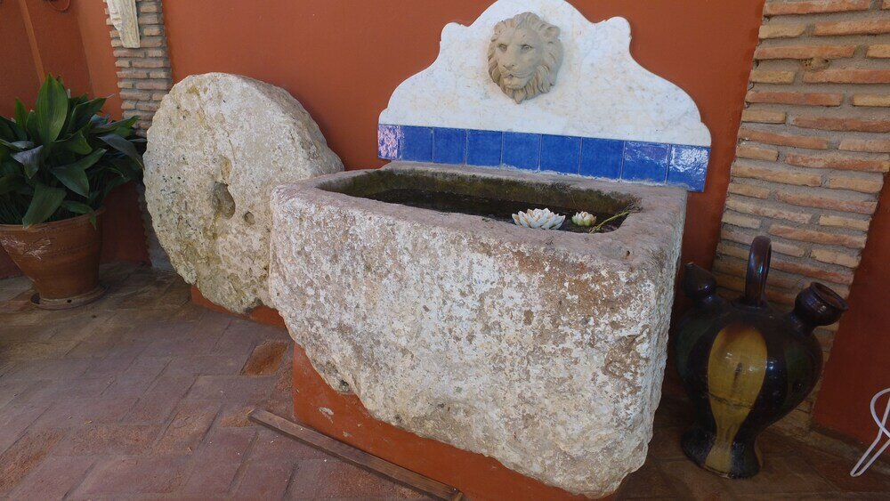 Фото Finca La Vida Loca