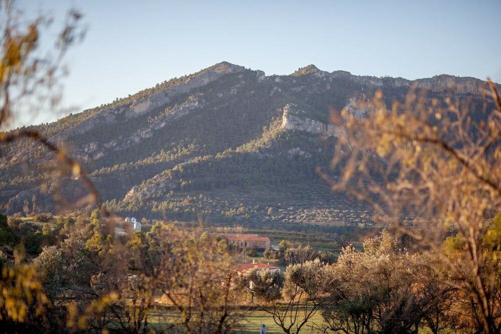 Фото Mas del Bot