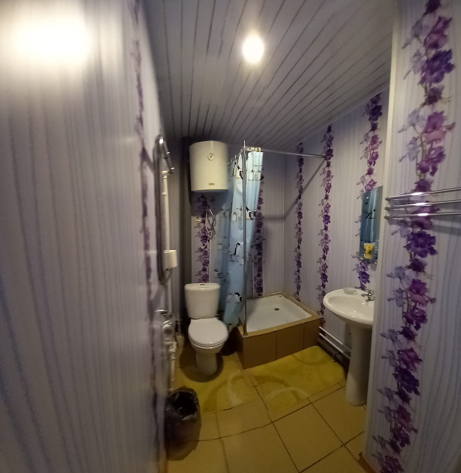 Фото Путник