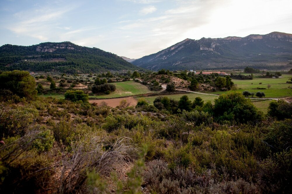 Фото Mas del Bot