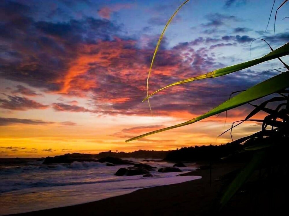 Фото Yala Waves Beach Resort