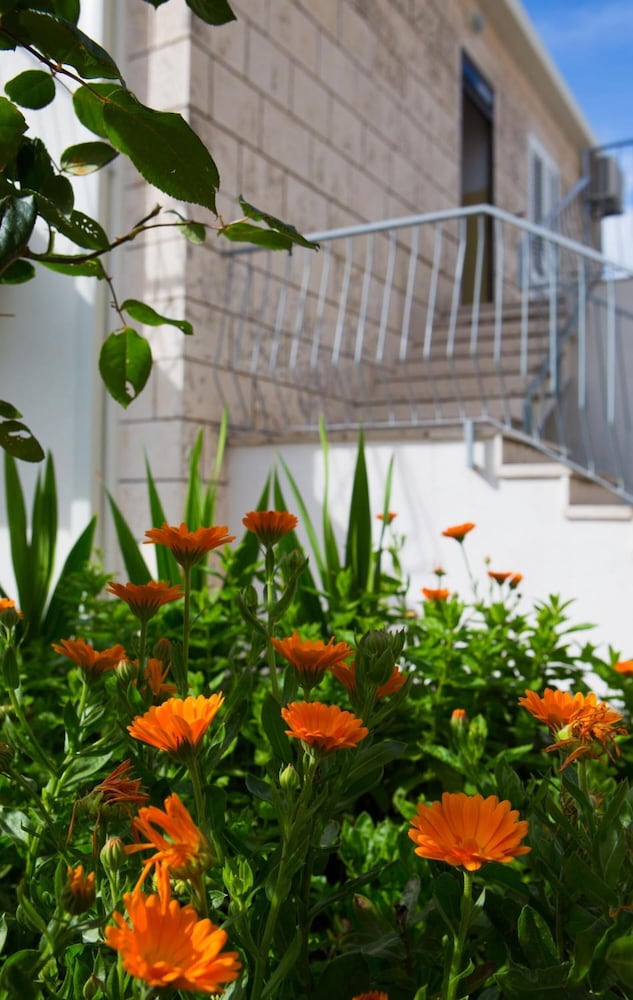 Фото Aida Apartments and Rooms