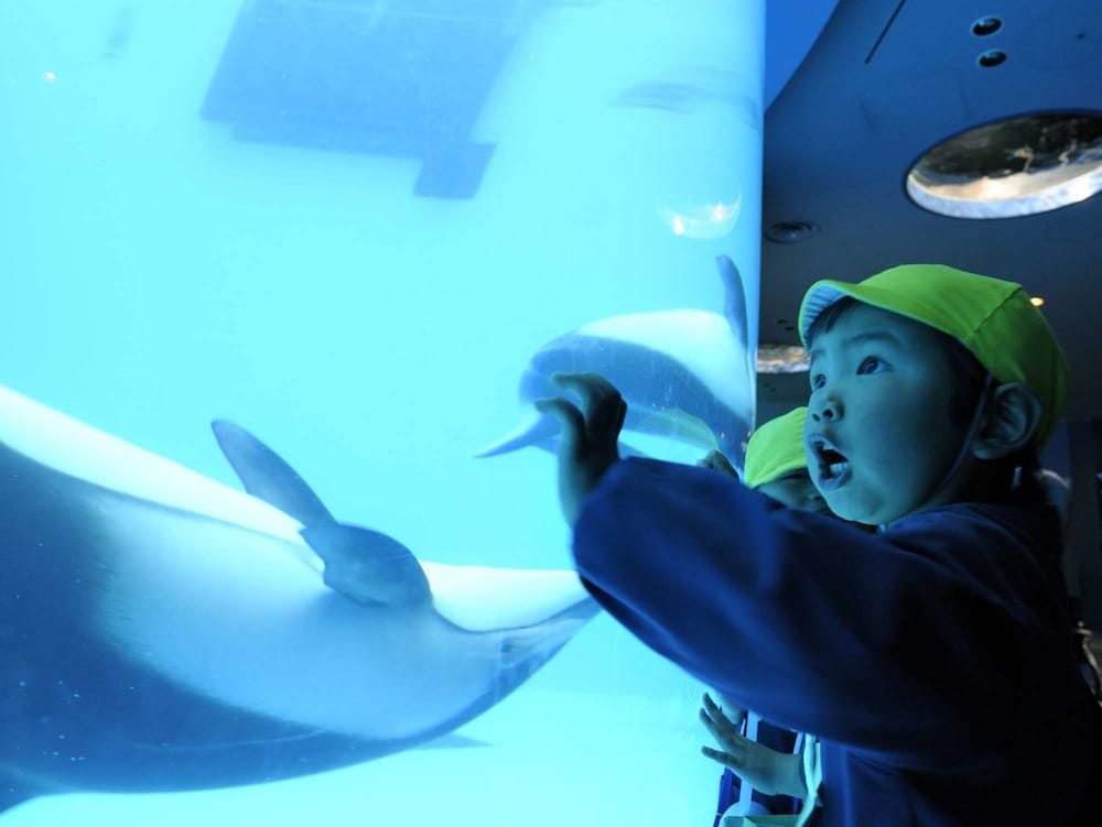 Фото Jr West Group VIA Inn Nagoya Ekimae Tsubakicho