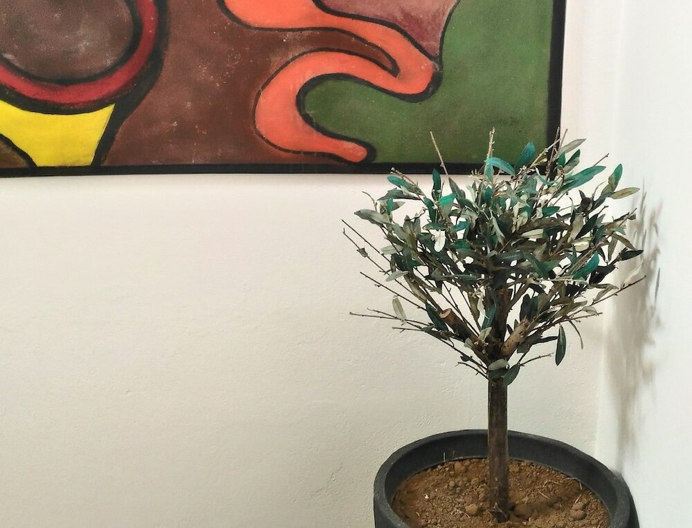 Фото Residence Lagos