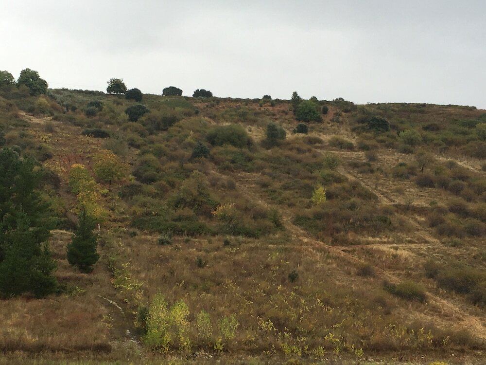 Фото NRuta Ponferrada