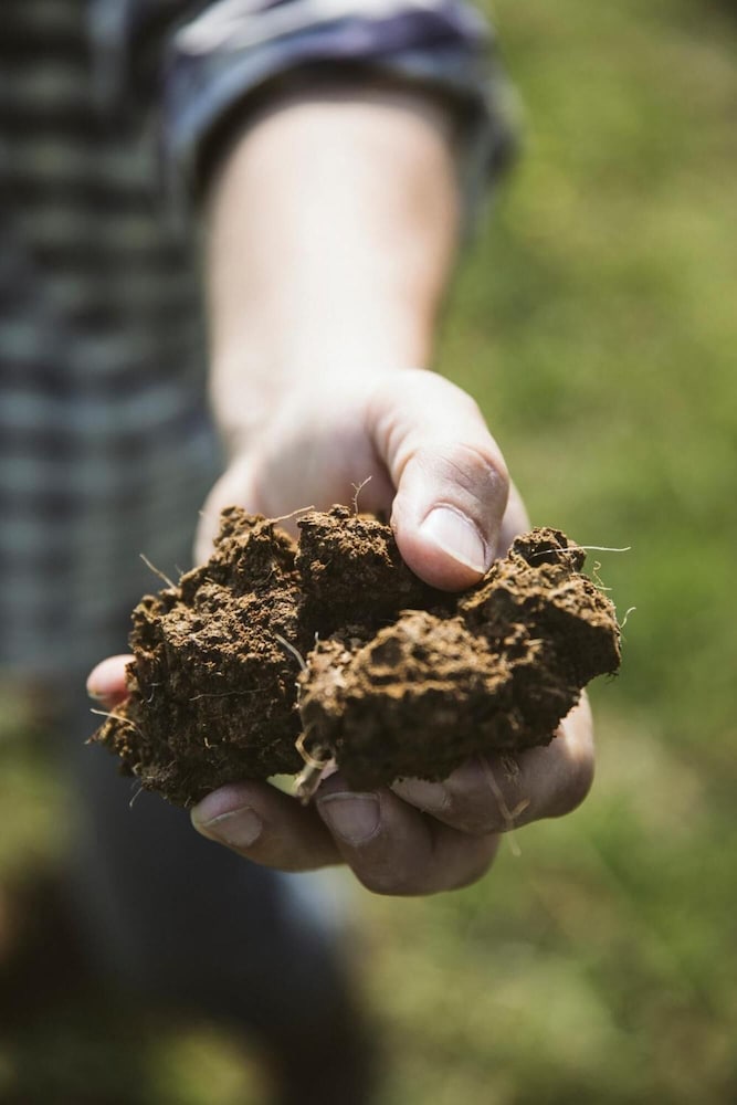 Фото Villa Venti