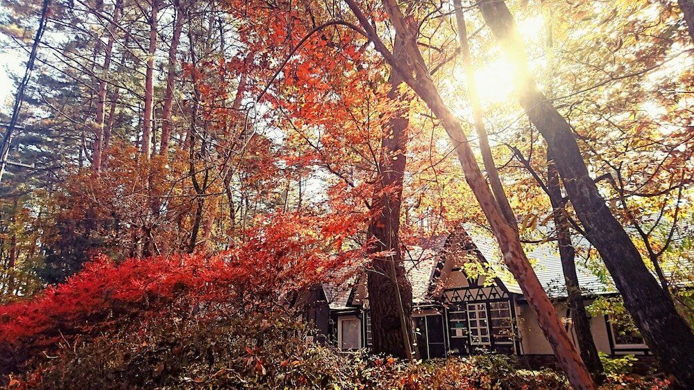 Фото Pension Maple Leaf