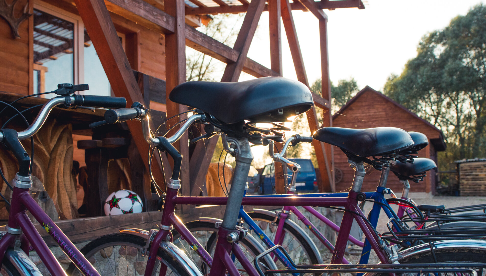 Фото Агроусадьба Мечта в Беловежской пуще