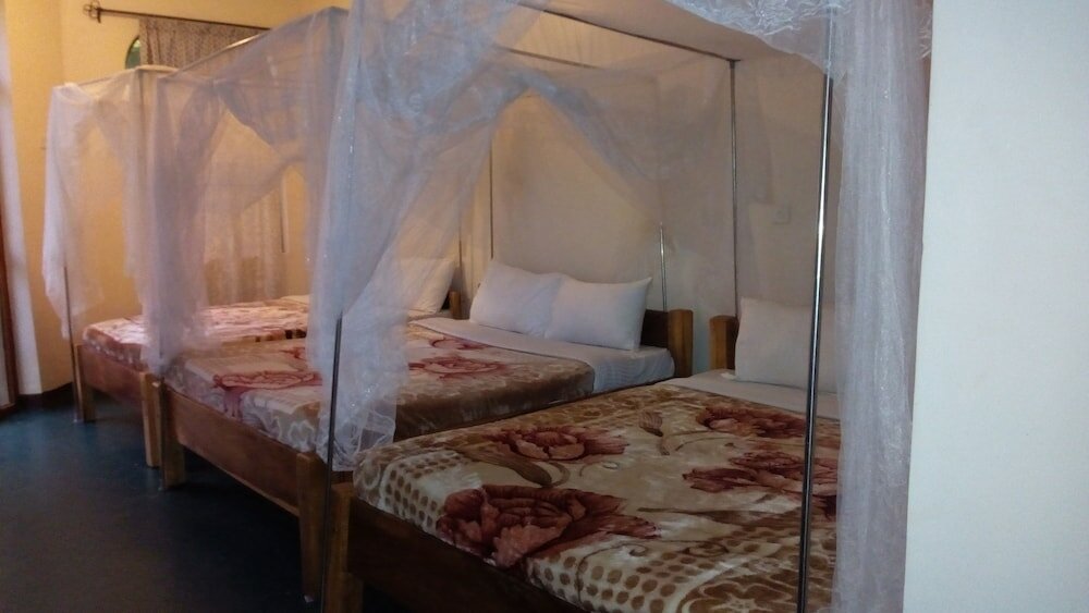 Фото Ancestors Lodge