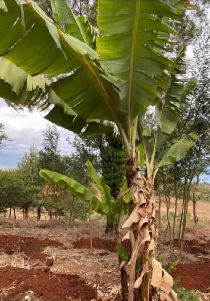Фото St. Catherine Monastery