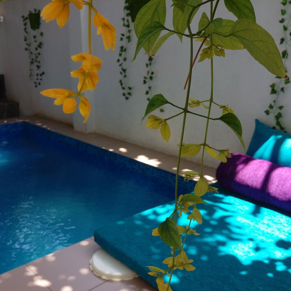 Фото Villa Seven Panadura