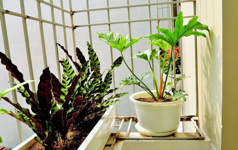 Фото Blue Home Serviced Apartment Hanoi