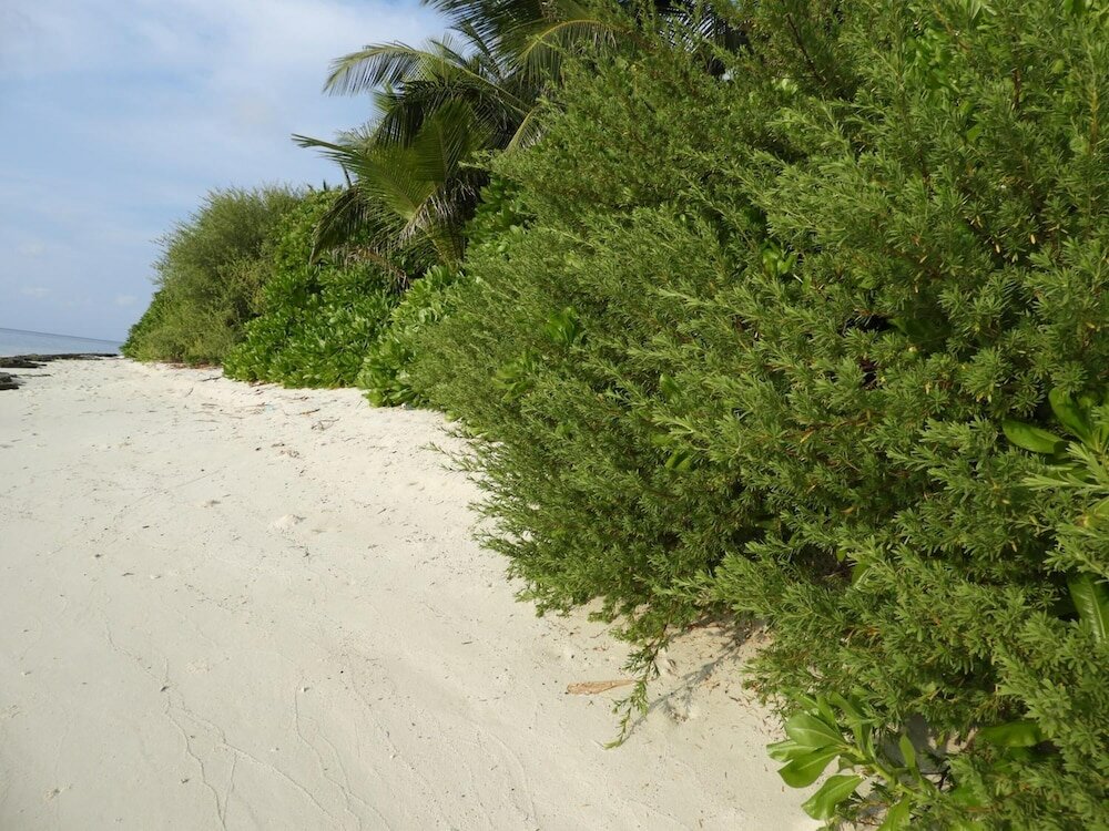 Фото Karaa Village