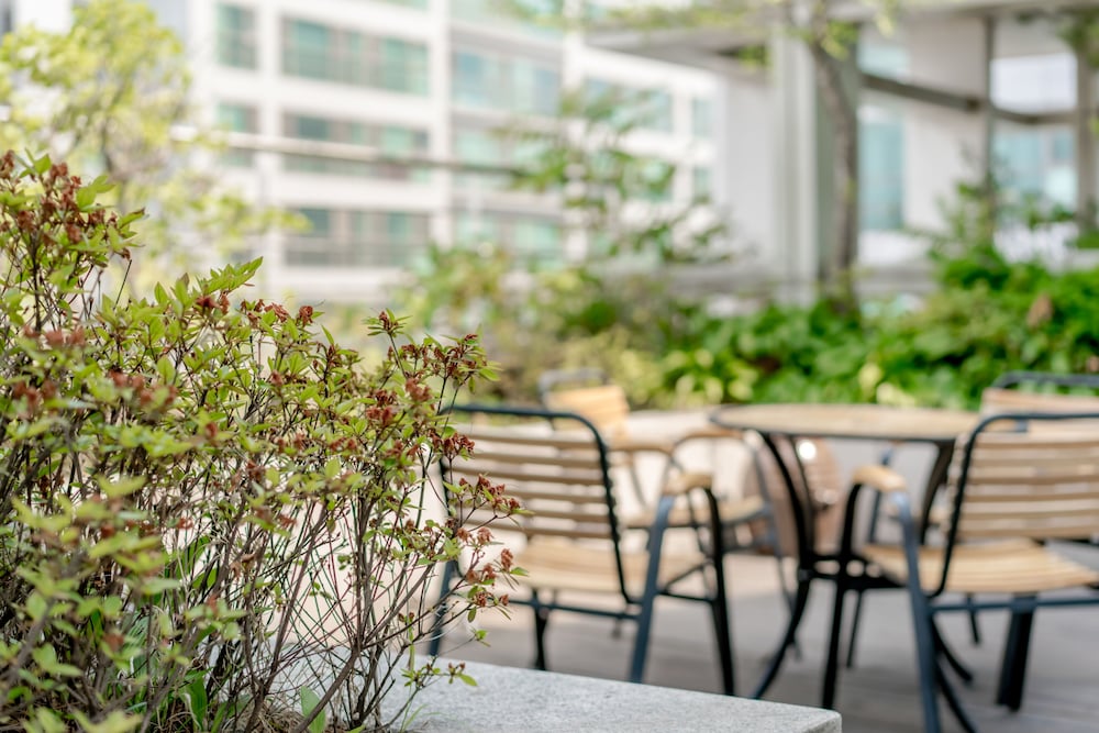 Фото Hotel Atrium Jongno