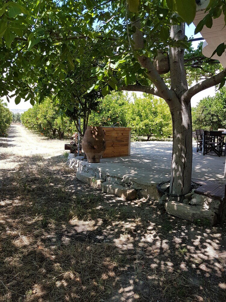 Фото Farm House in Bio Orange Plantation