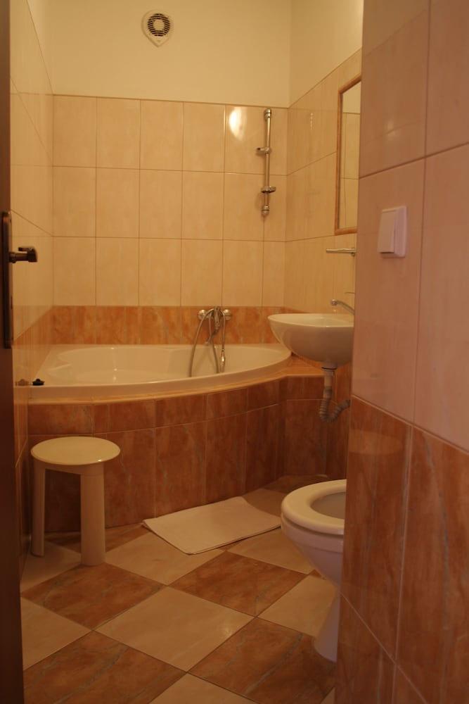 Фото Hotel Bílá Růže