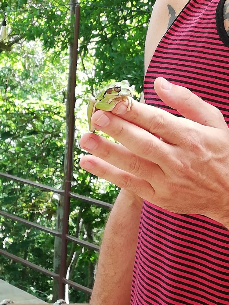 Фото Green Sanctuary Hotel