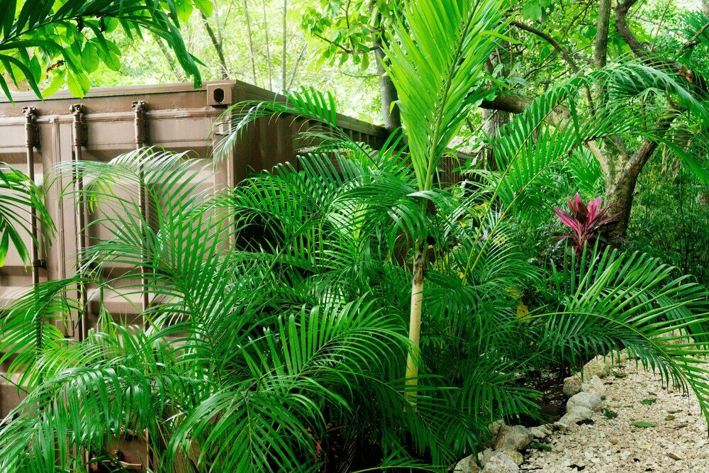 Фото Green Sanctuary Hotel