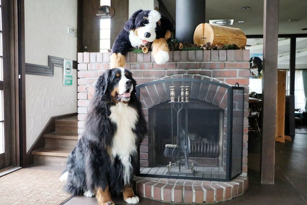 Фото Guest House Bern