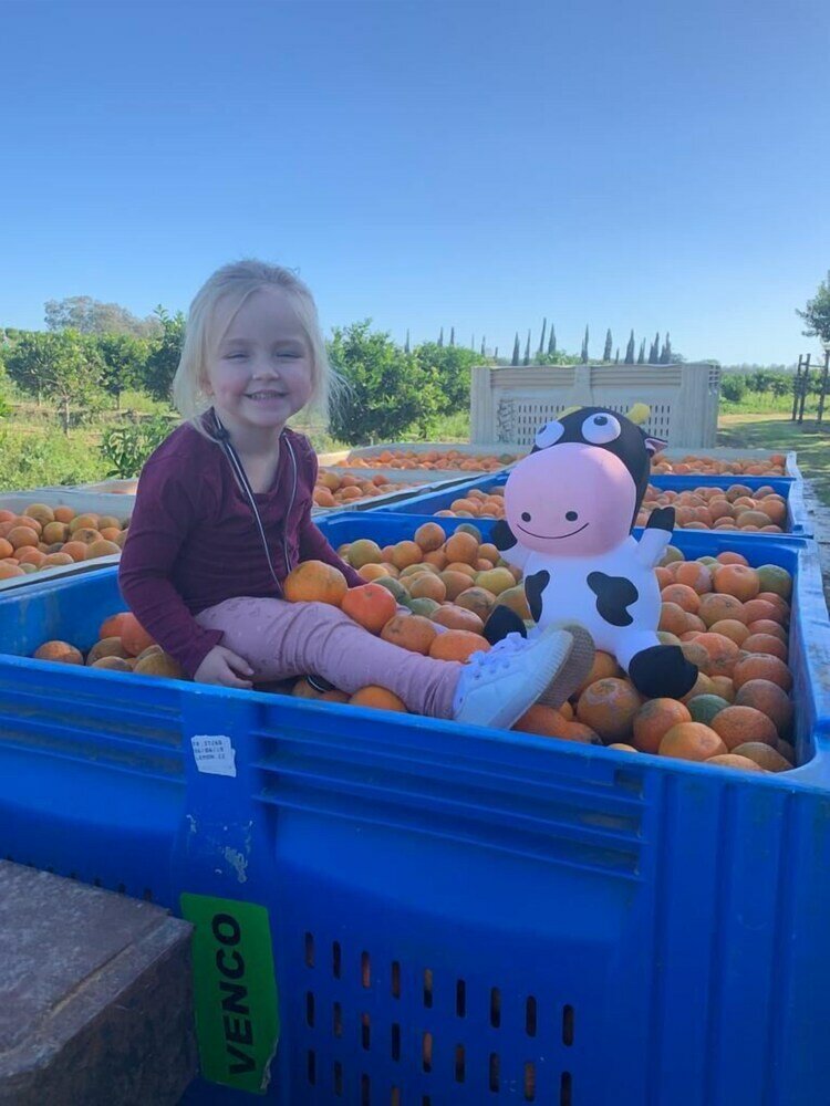 Фото Gerald's Gift Guest House