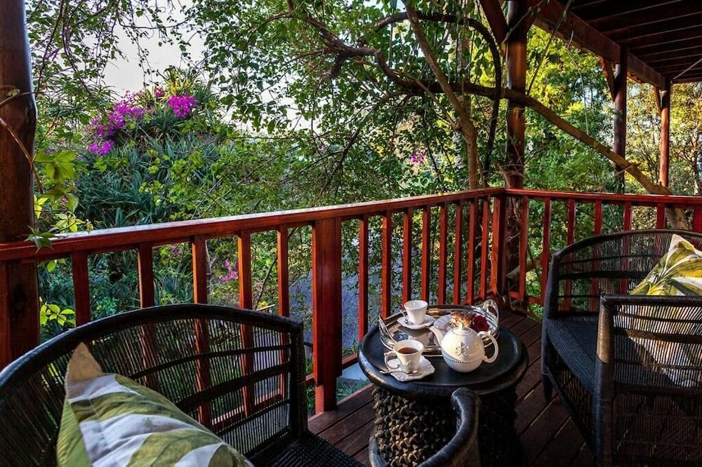 Фото The Loerie Hide