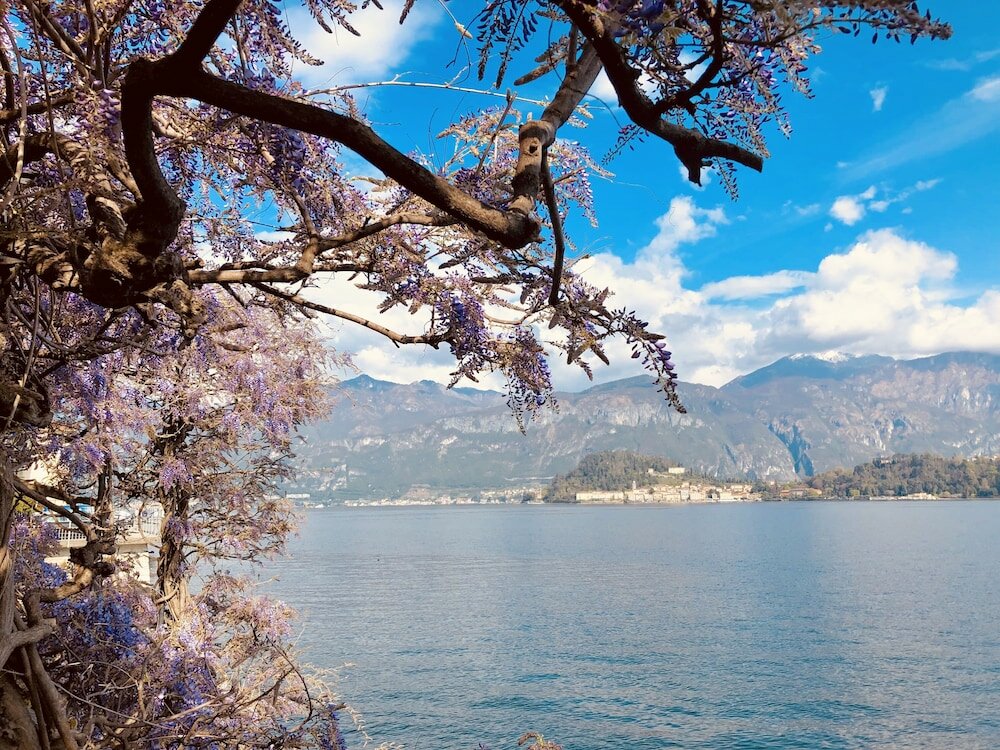 Фото Appartamento Vista Lago Red & Grey