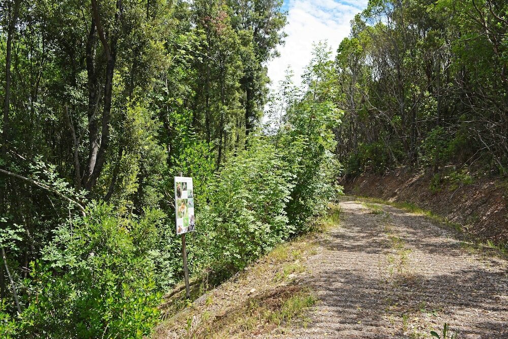 Фото Le Moraiole Country House
