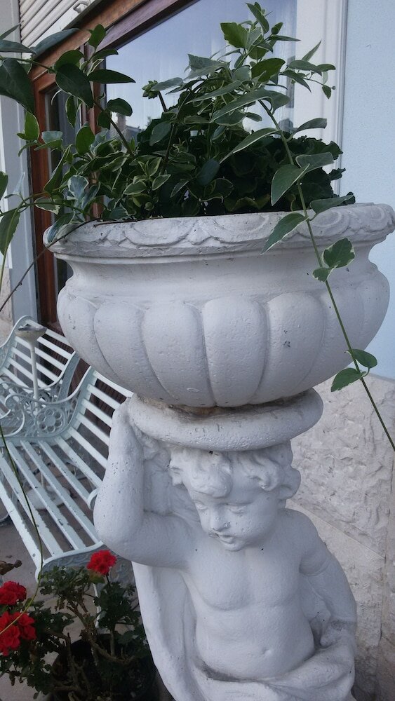 Фото Villa Fiorita