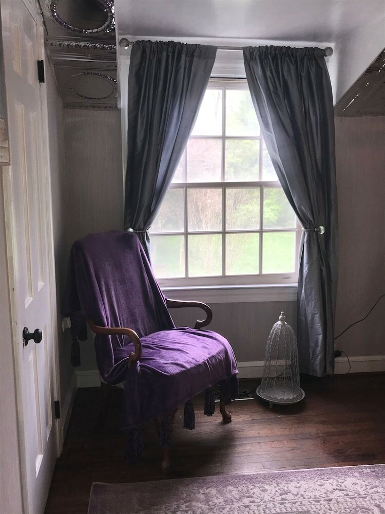 Фото Wild Wisteria