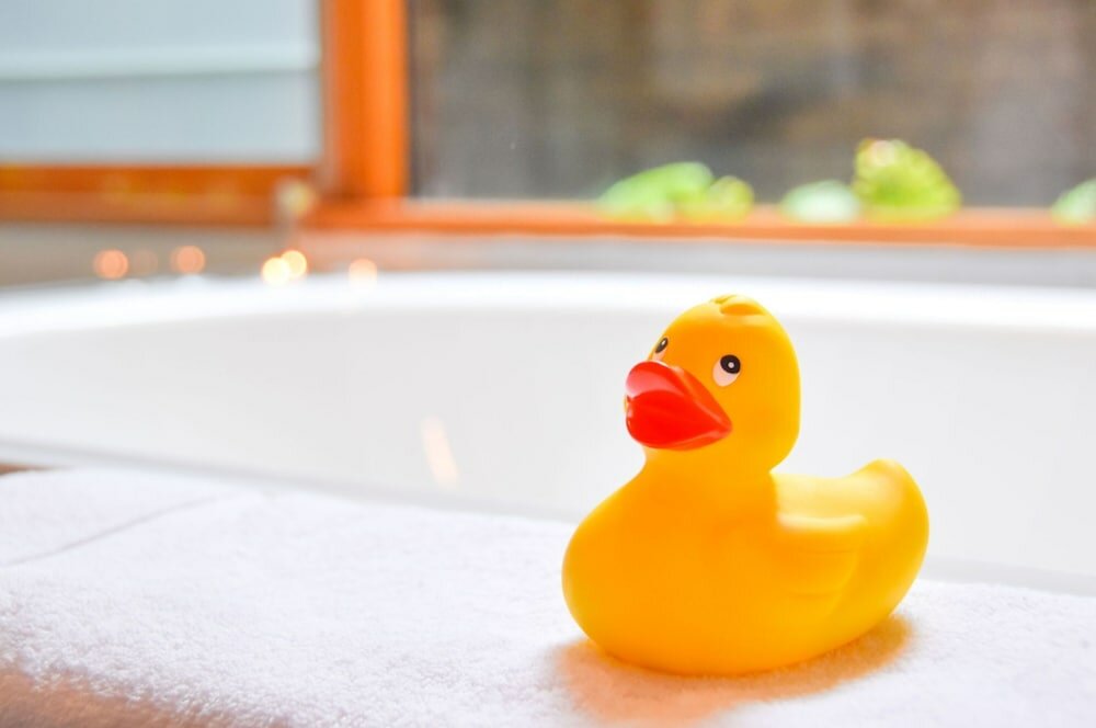 Фото River Birches