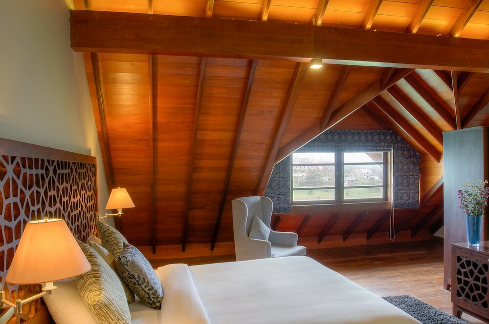 Фото Tea Plant Nuwara Eliya